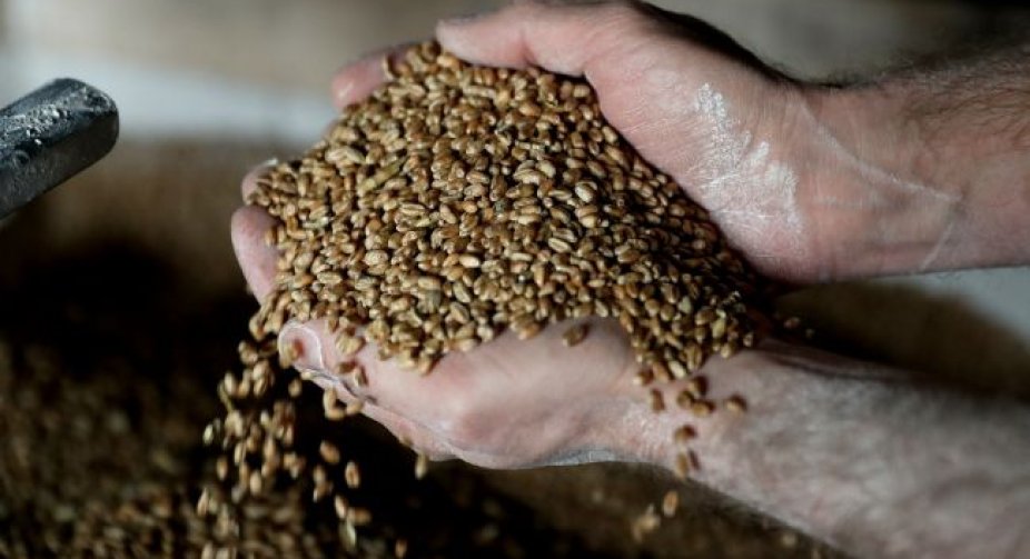 The EU is preparing emergency restrictions on the import of grain from Ukraine, - FT