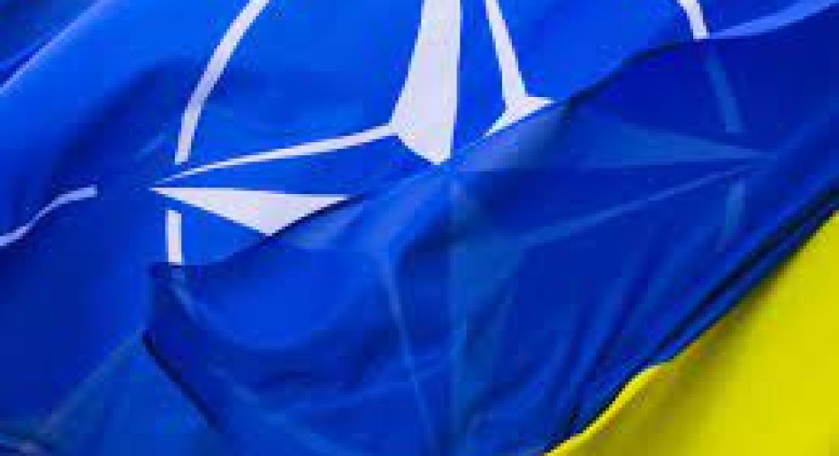 Потрібні механізми швидкої інтеграції України в НАТО, а не заїжджені фрази – Науседа