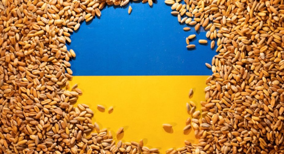 Новий раунд переговорів Єврокомісії та 5 країн ЄС щодо агроімпорту з України провалився