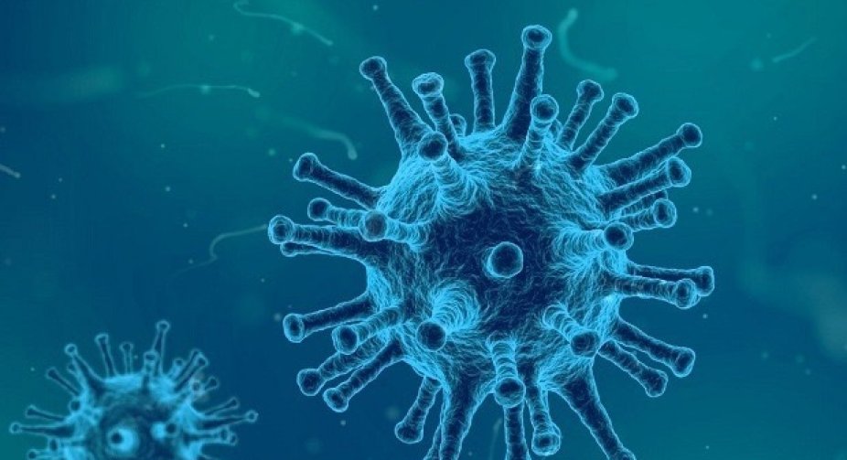 8,549 new cases of Covid-19 infection recorded in Ukraine per day