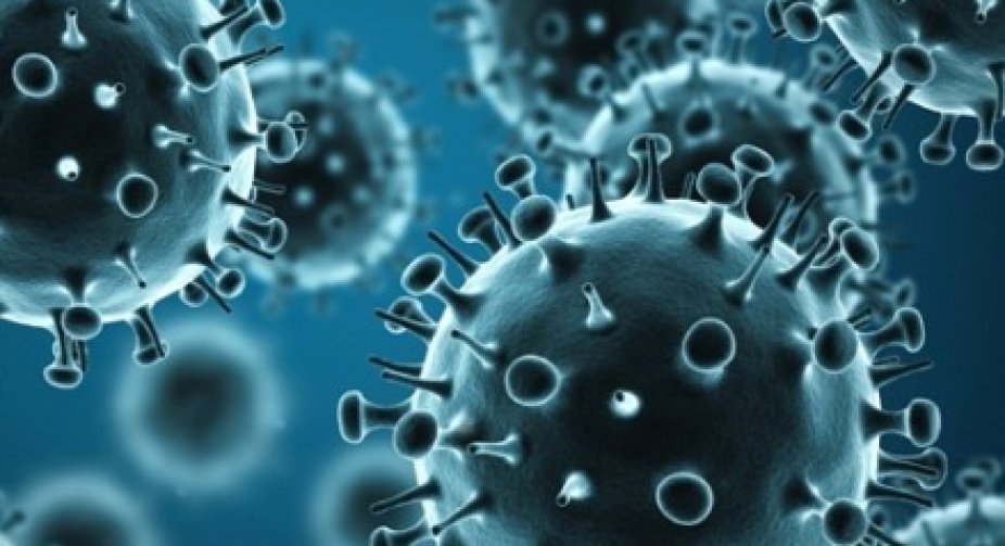 The number of COVID-19 infections in the world exceeded 151 million, the number of victims - 3.17 million