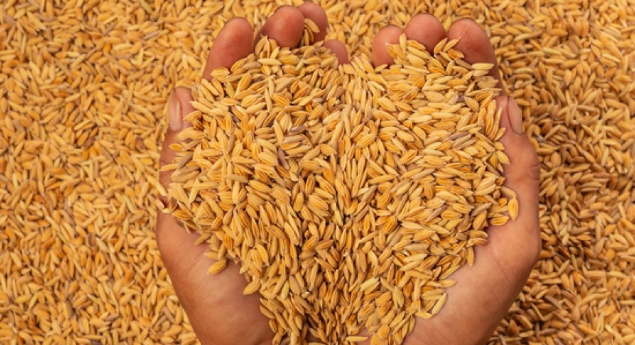 Ankara announced a meeting of representatives of Russia, Ukraine and Turkey regarding the grain agreement on May 5