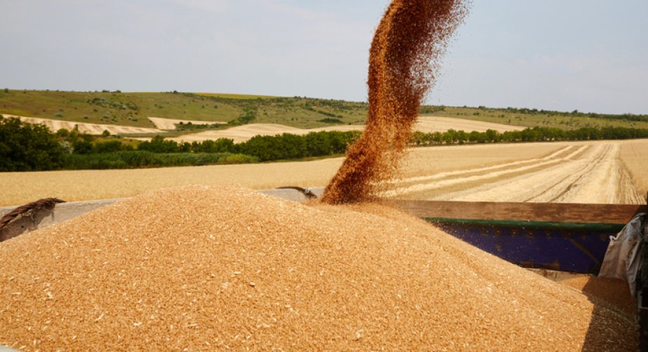 Moldova wants to introduce temporary restrictions on grain imports from Ukraine