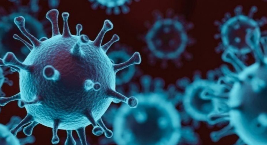 Out of 788 new cases of coronavirus, 384 were detected in Tbilisi and 106 in Adjara