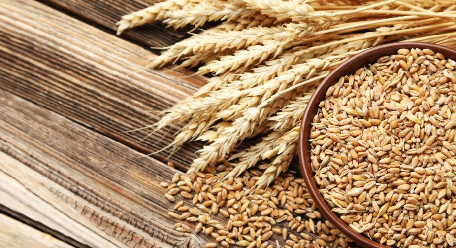 Hungary asked Brussels to extend restrictions on imports of agricultural products from Ukraine until the end of the year
