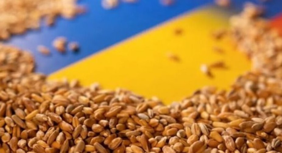 Єврокомісія продовжила заборону імпорту агропродукції з України - ЗМІ