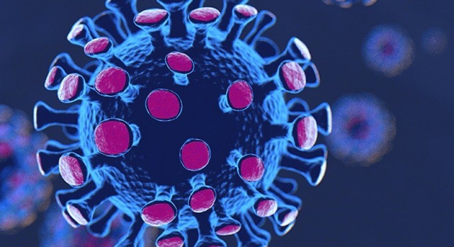 In Ukraine, 8,710 new cases of Covid-19 infection were recorded per day