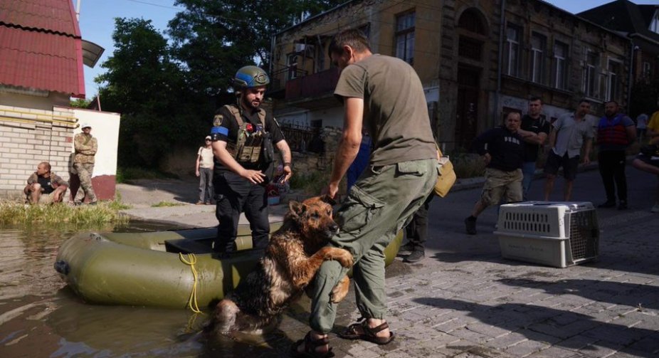 The EU is handing over 500 generators to Ukraine in the areas affected by the explosion of the Kakhovskaya HPP