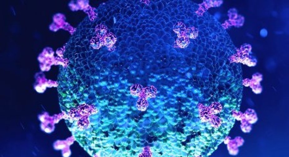 Кількість заражень COVID-19 у світі перевищила 159,6 млн