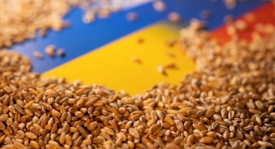 "Зернова угода" може бути відновлена: Туреччина готується до переговорів у Стамбулі