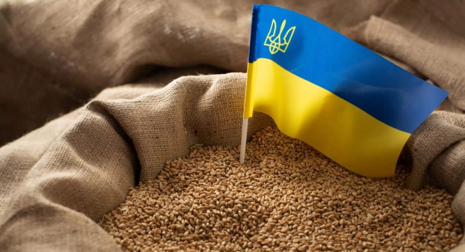 П'ять східноєвропейських країн мають намір продовжити заборону імпорту українського зерна