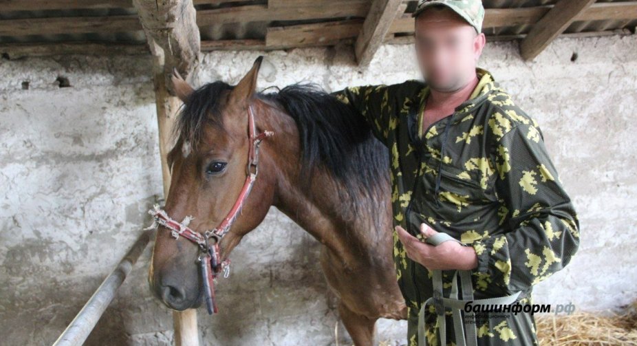 Росіяни почали використовувати коней на війні