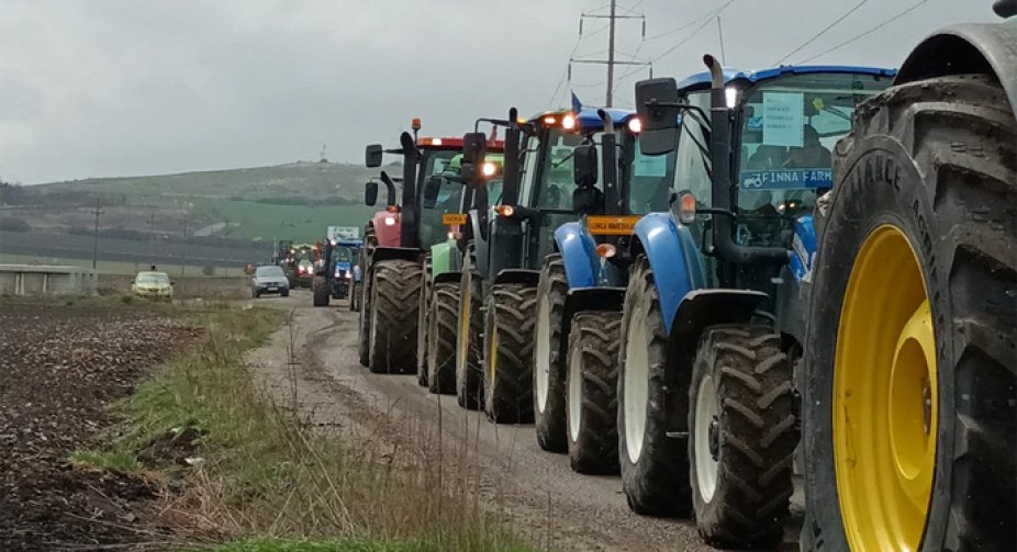 Румунські фермери вимагають від уряду запровадити заборону на українське зерно