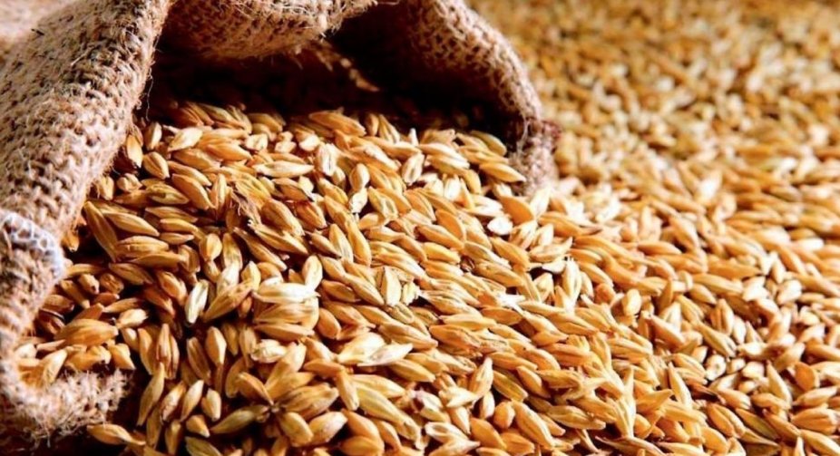 Ukraine and Poland found common language in dispute over agricultural exports
