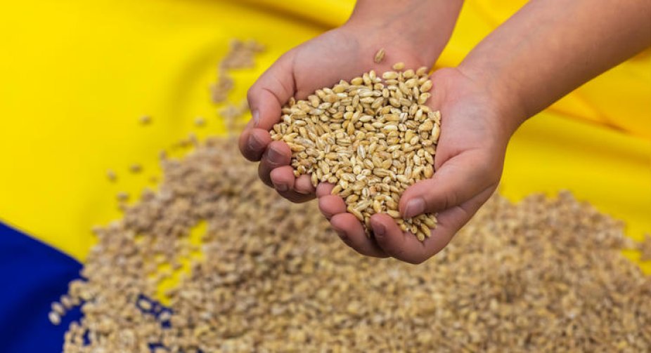 Ukraine has introduced licensing for grain exports to Eastern Europe and is awaiting approval