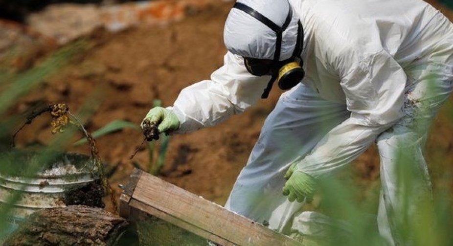 Remains of 24 people found in ex-policeman's garden