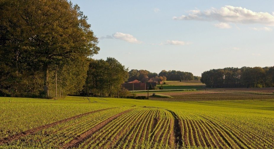 Ownerless land plots in Ukraine to be transferred to communal ownership