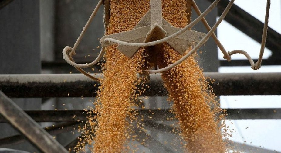 Ukraine has compensated for the loss of the "grain corridor" and increased exports via the Black Sea, - NBU