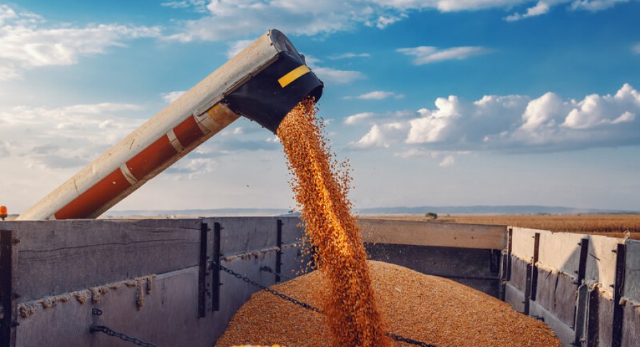 Ministry of Agrarian Policy: Destruction of Ukrainian grain at the border has nothing to do with peaceful protests