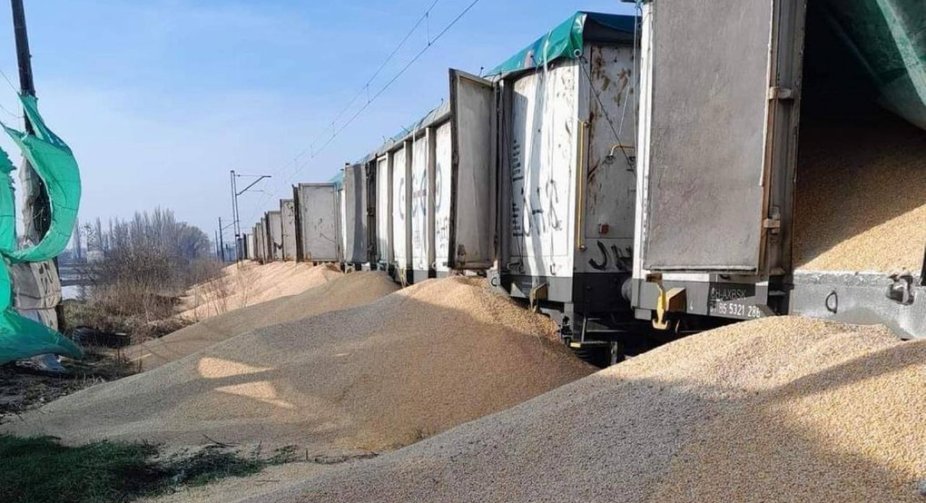 У Польщі утилізують розсипане на кордоні українське зерно