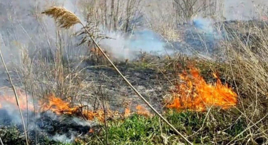 Російські війська в Чернігівській області використовують безпілотники з запалювальною сумішшю