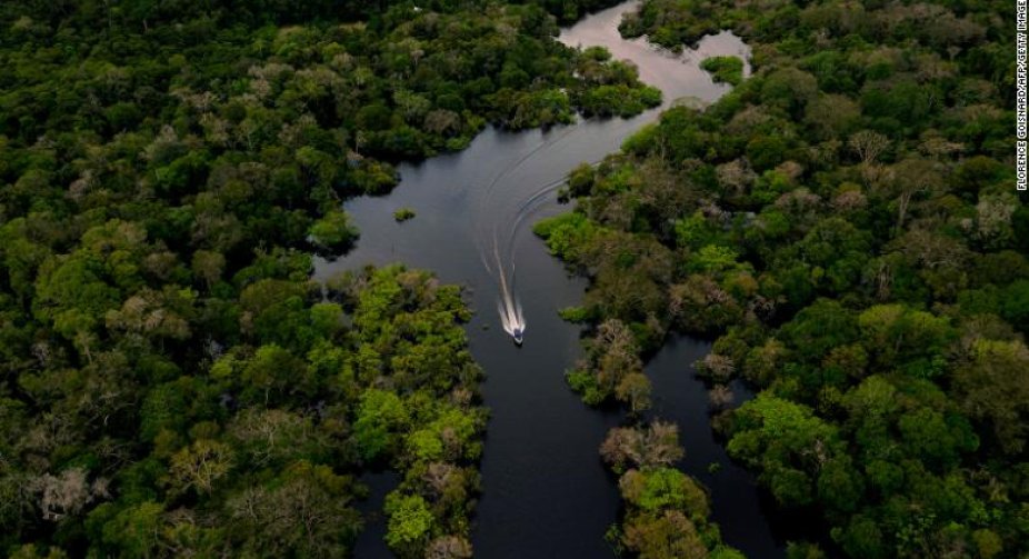 Amazon rainforest is emitting more carbon dioxide than it absorbs in some areas, study says