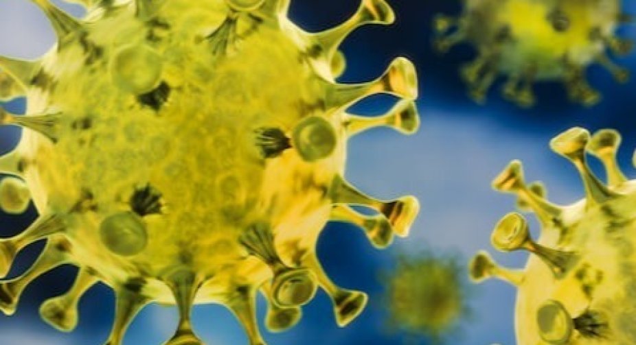 Out of 160New cases of coronavirus in Georgia, 73 were detected in Tbilisi and 33 in Imereti