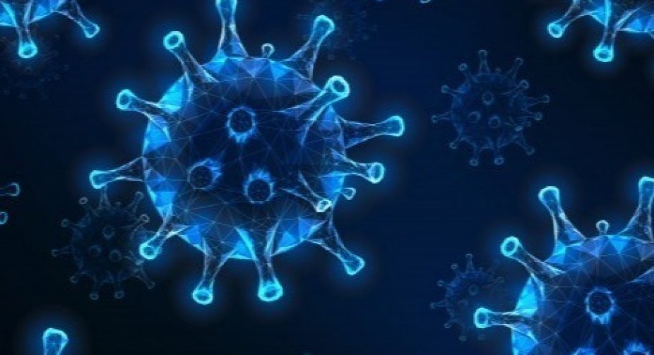 17 people died of coronavirus in Georgia in 24 hours