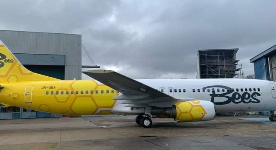 Новий український лоукостер Bees Airline оприлюднив свої ціни