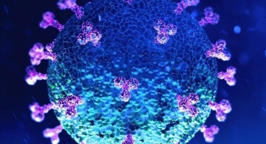 The number of COVID-19 infections in the world exceeded 156.9 million