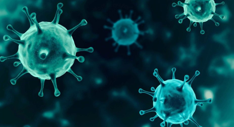 The number of COVID-19 infections in the world exceeded 142 million, the number of victims - 3 million