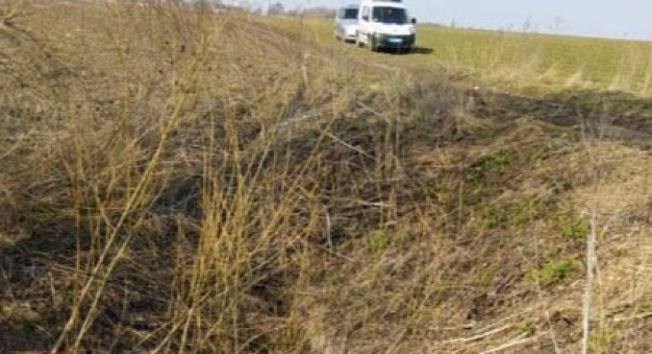 A public activist was kidnapped and killed in Kiev