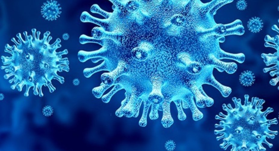 Out of 1,310 new cases of coronavirus, 798 were detected in Tbilisi