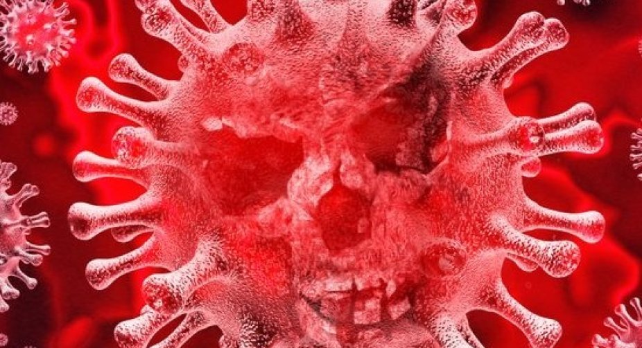 Out of 688 new cases of coronavirus in Georgia, 295 were detected in Tbilisi and 126 in Imereti