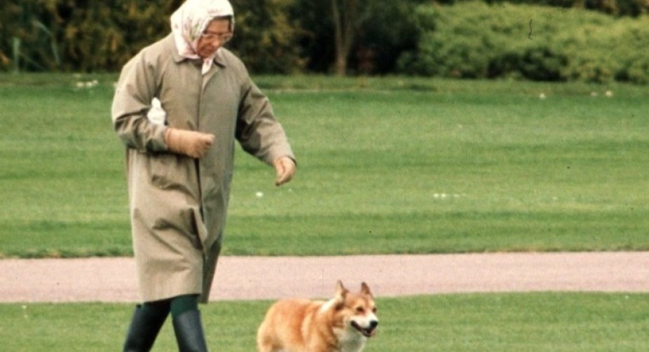 DOG SAVE THE QUEEN Queen gets two new corgi puppies after last one died to help her through royal crisis with Meghan