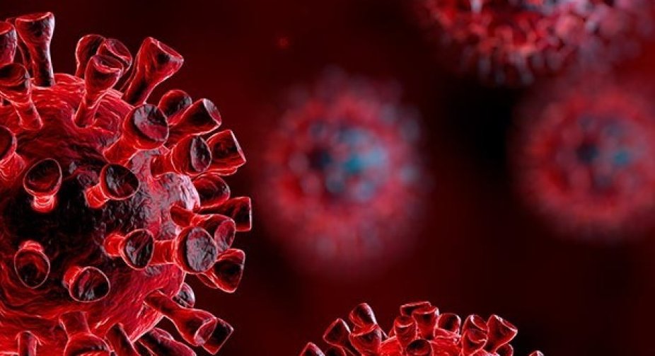 The number of COVID-19 infections in the world exceeded 117 million, the number of victims - 2.6 million