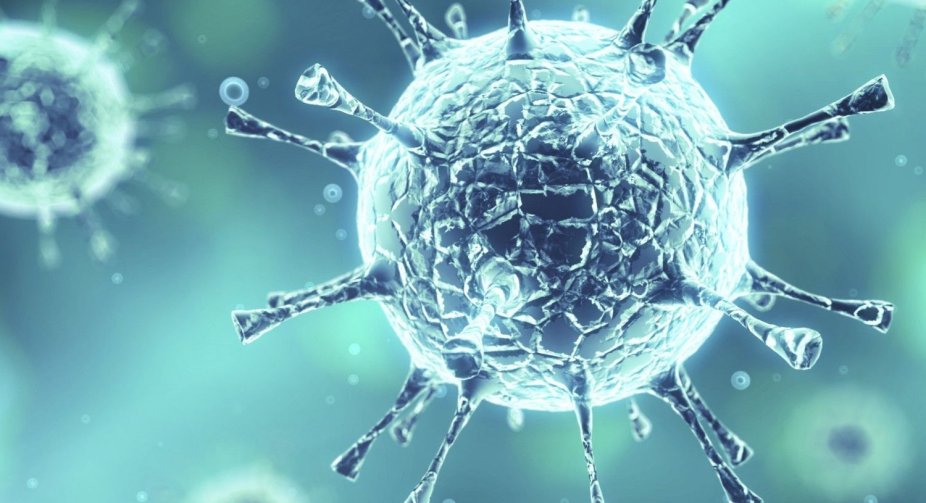 687 new cases of coronavirus were detected in Georgia, 327 people recovered