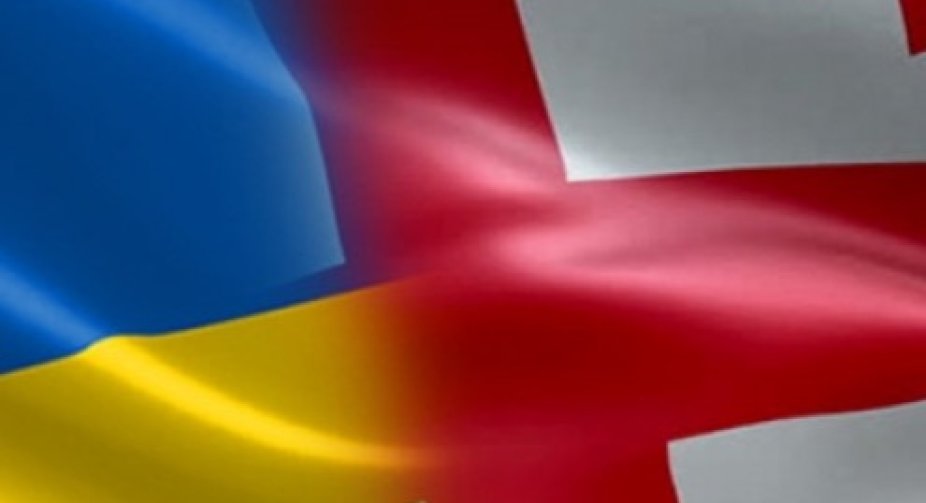 Foreign Relations Committee of the Parliament of Georgia shared a statemant regarding the situation in Ukraine