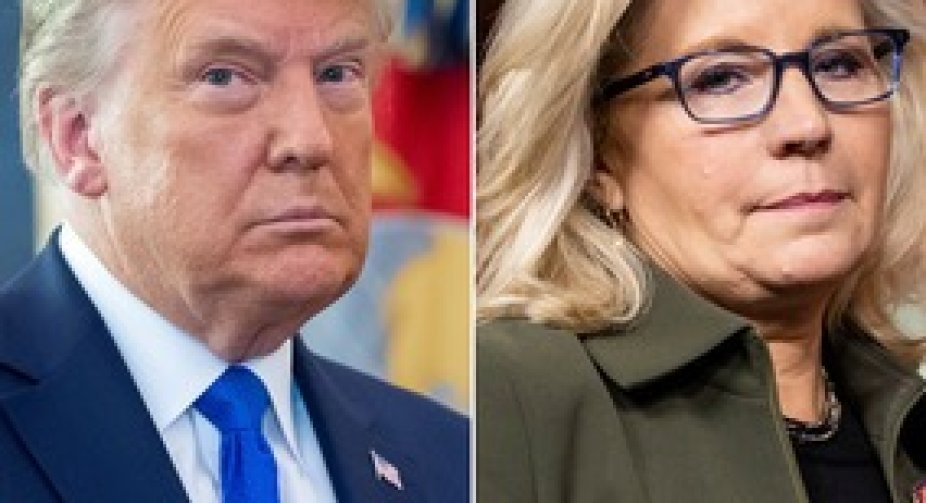 Cheney on Trump: 'He's going to unravel the democracy to come back into power'