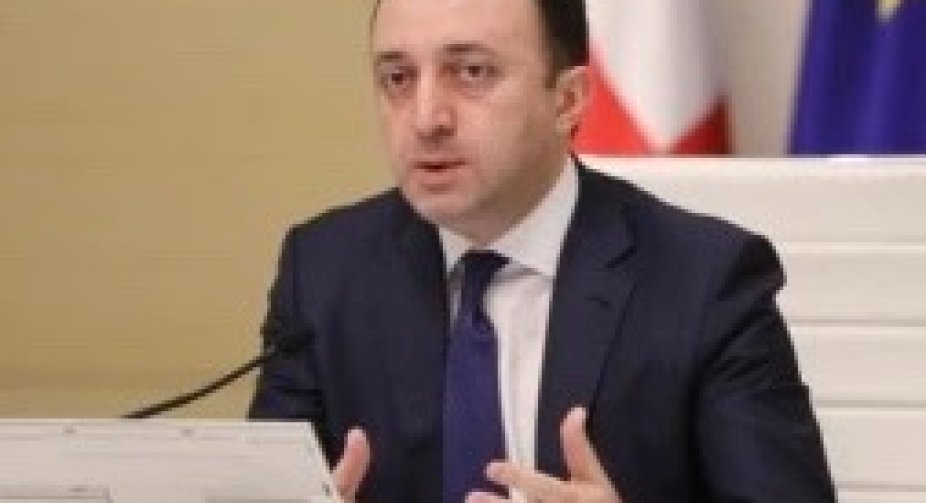 Georgia's PM has appointed two new members to the cabinet