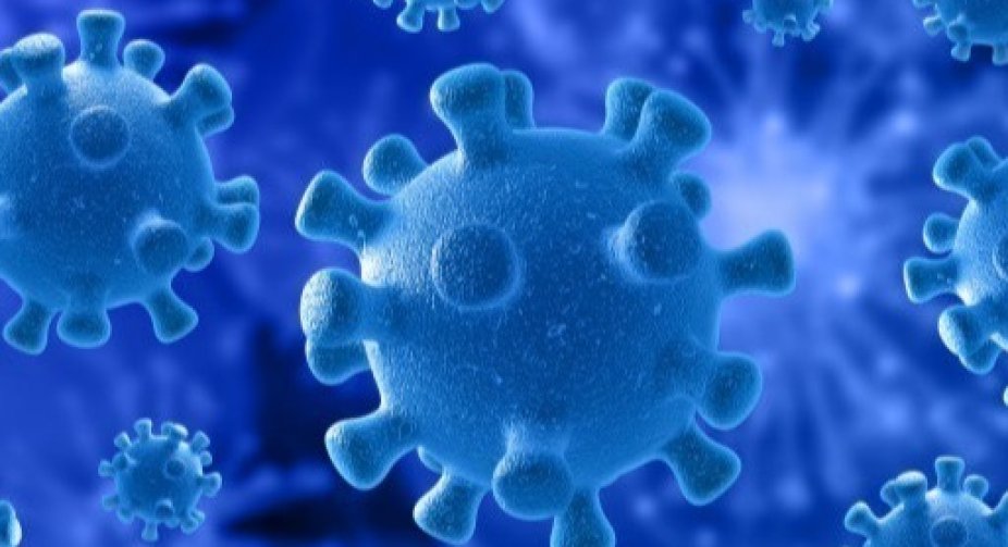 In Ukraine, 11,680 new cases of Covid-19 infection were recorded per day