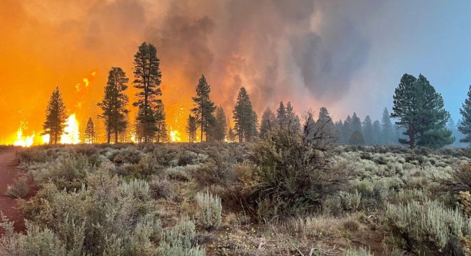 Oregon Bootleg Fire: Evacuations as largest US fire burns 364,000 acres