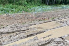 На кордоні Польщі і Білорусі зруйнували паркан: зловмисників затримали