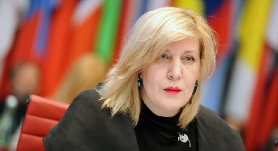 Комісар Ради Європи з прав людини висловлює підтримку народному захиснику Грузії