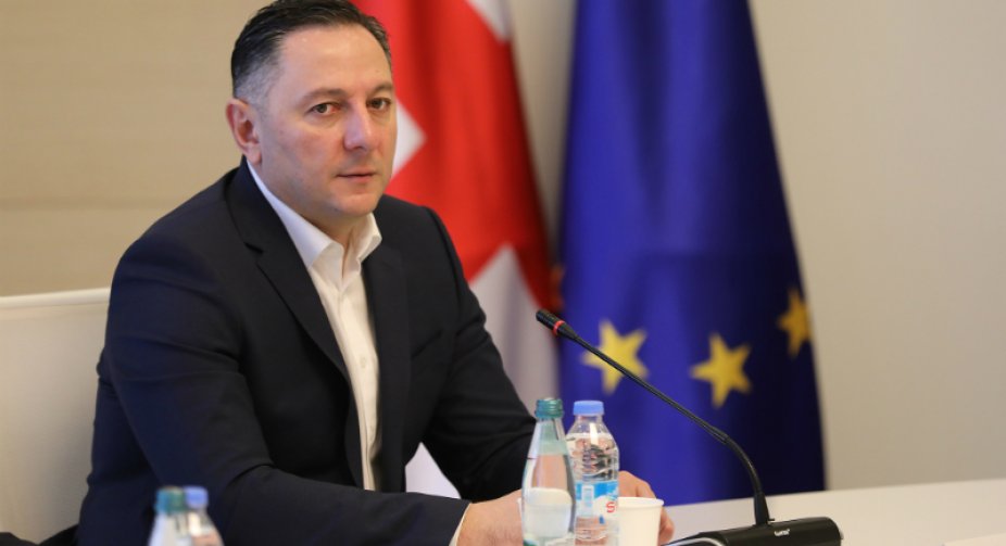 Georgian Interior Minister in Parliament: I express open and full support for Ukraine
