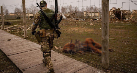 The result of Russia's actions in Ukraine