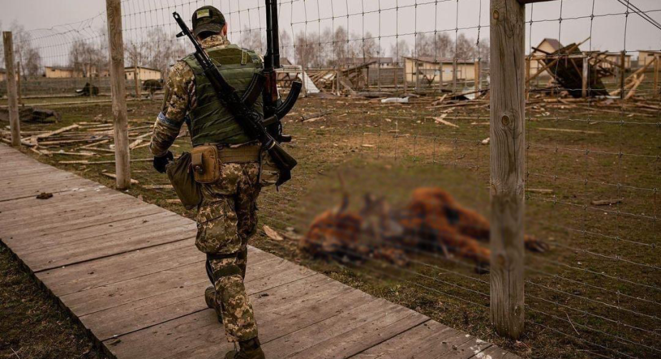 The result of Russia's actions in Ukraine