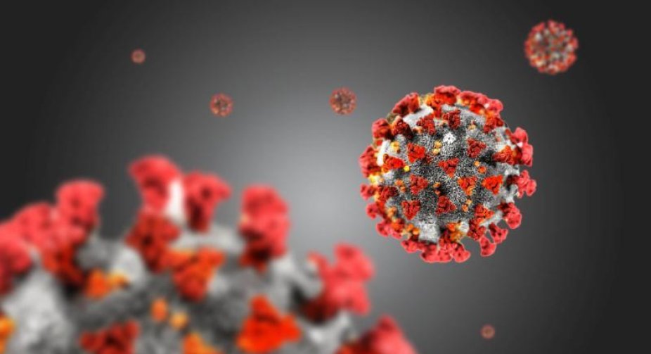 Poland prepares to cope with the epidemic COVID-19   