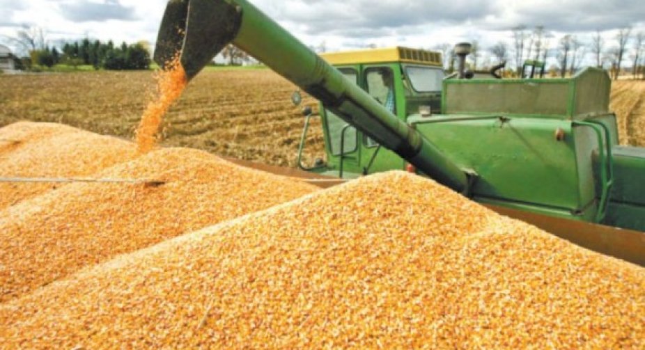 Zaporizhzhia Region: Occupiers steal or force farmers to sell grain for next to nothing - RSA