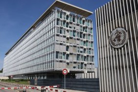 ВООЗ скликає екстрену нараду експертів через спалах віспи мавп